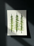 “In the pines”