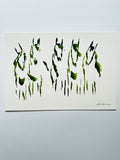 “Five green steeds”