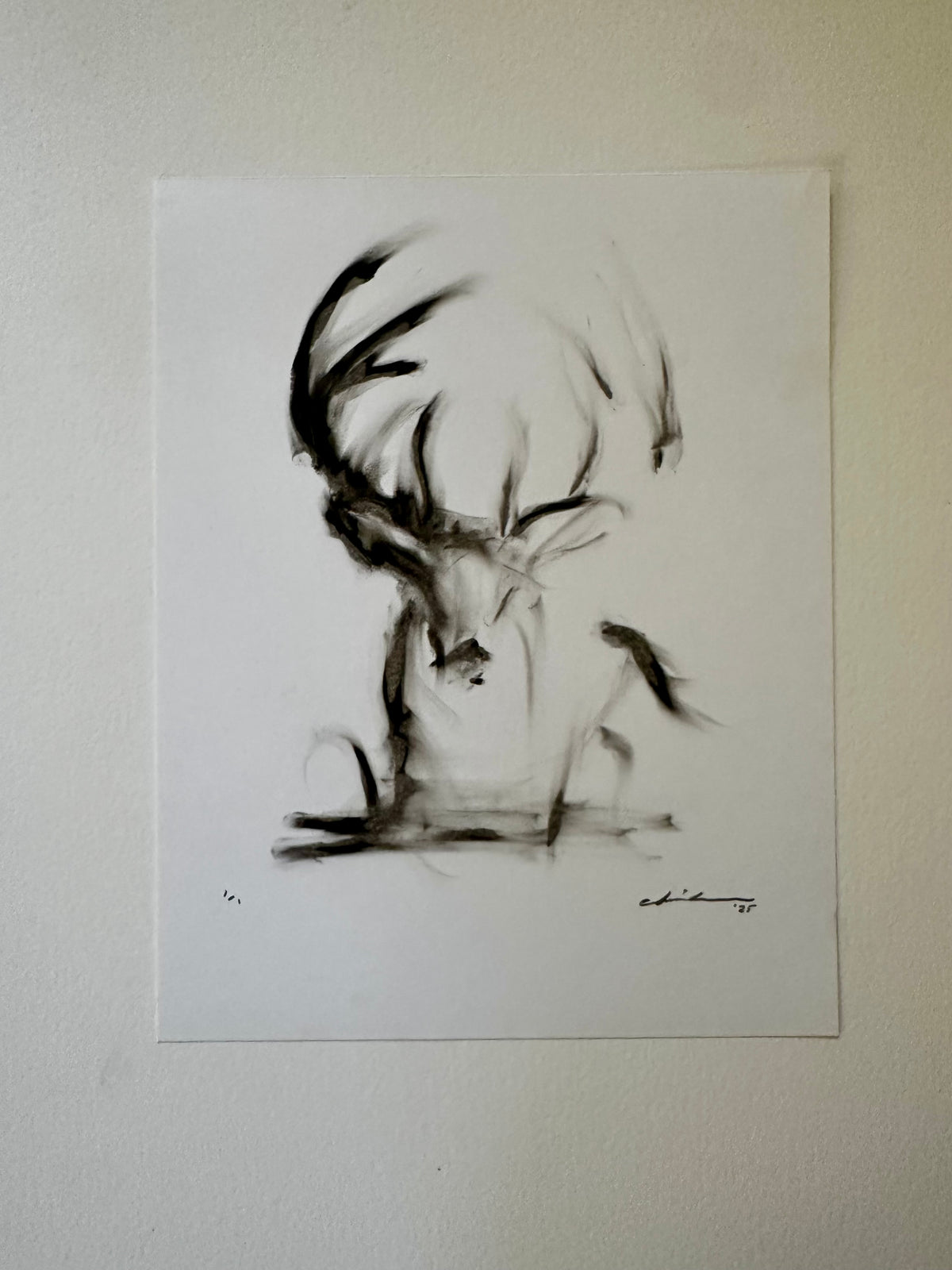 Black oil pastel drawing of a mule deer buck with antlers on white Bristol board