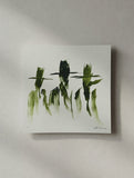 “Tres Greengos”