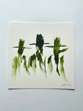 “Tres Greengos”
