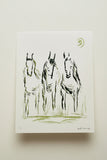 “Green steeds”